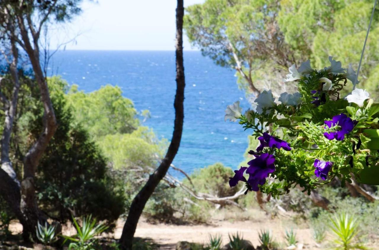 Villa Buonumore Porto Pino Exterior foto