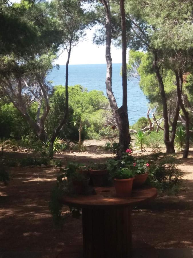 Villa Buonumore Porto Pino Exterior foto