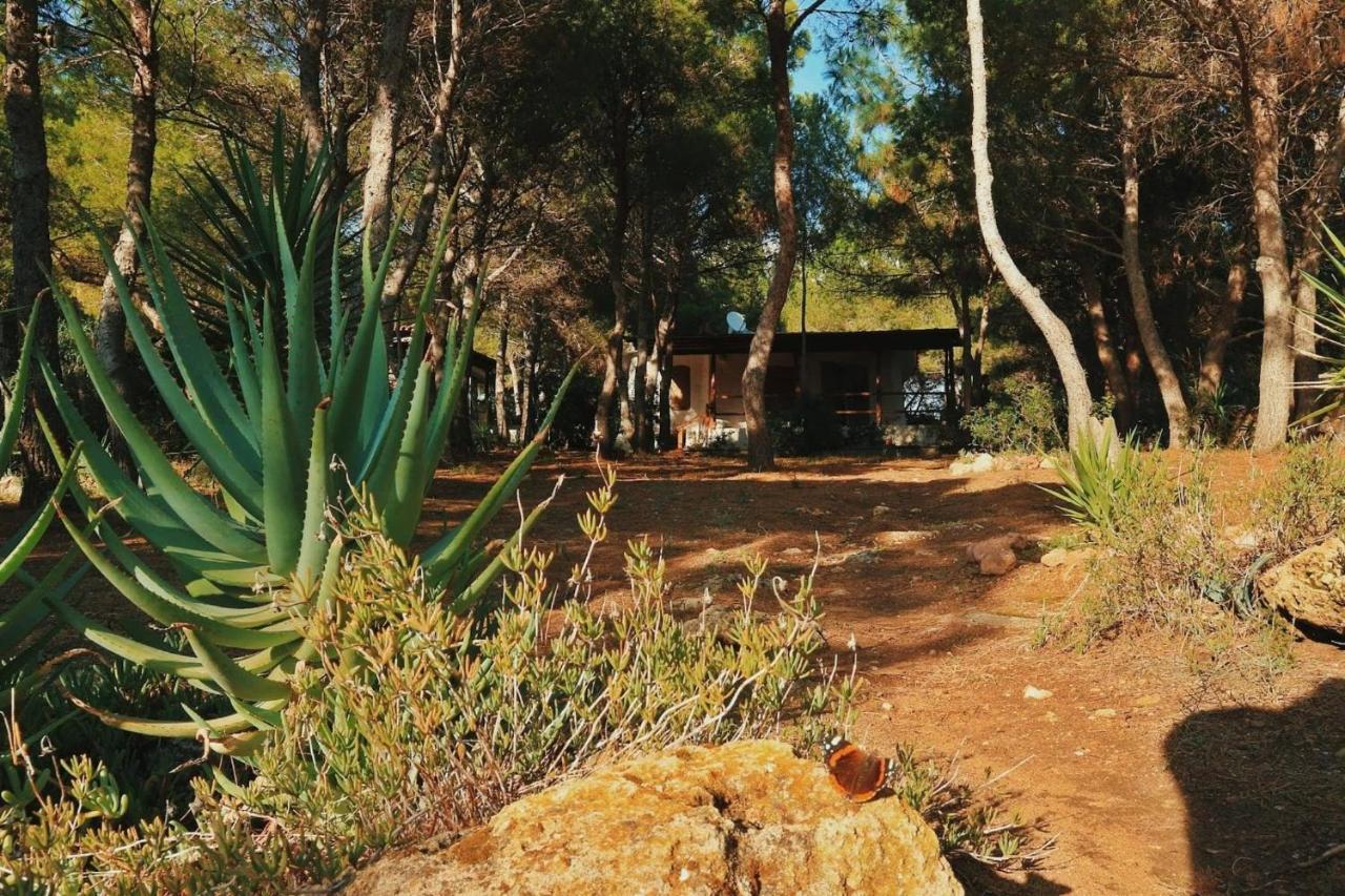Villa Buonumore Porto Pino Exterior foto